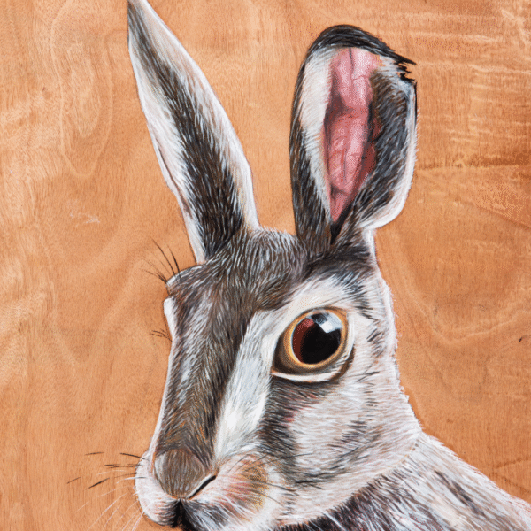 מי מפחד מהזאב הרע