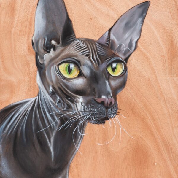 I thought i saw a pussycat