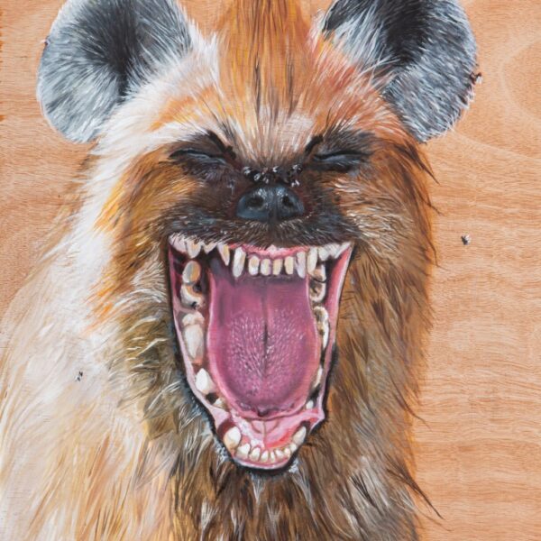 אתה צוחק עליי?